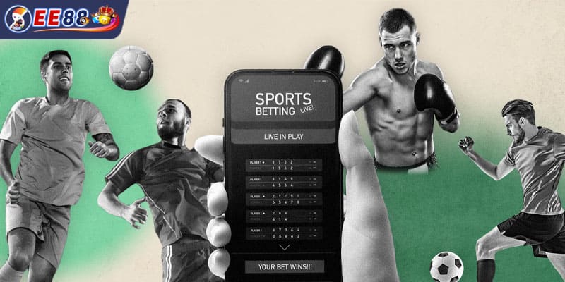 Đa dạng các loại hình thi đấu thể thao chuyên nghiệp